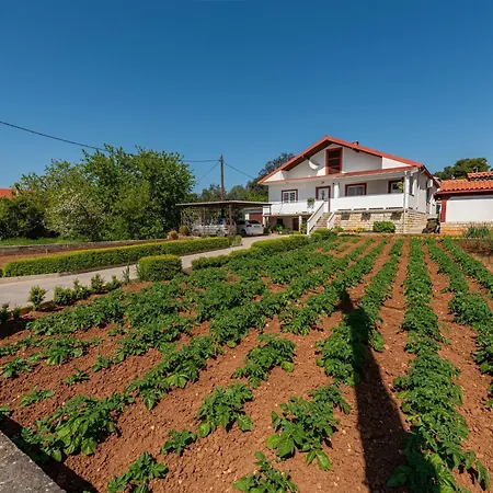 شقة With Parking Space Bibinje, Zadar - 24491 *