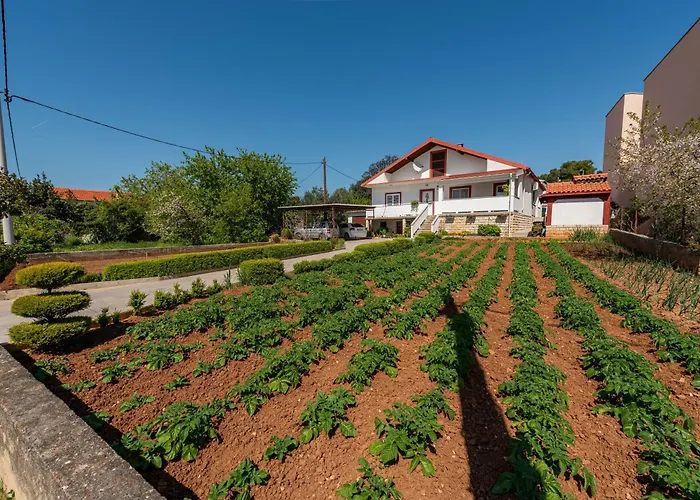 شقة With Parking Space Bibinje, Zadar - 24491 *